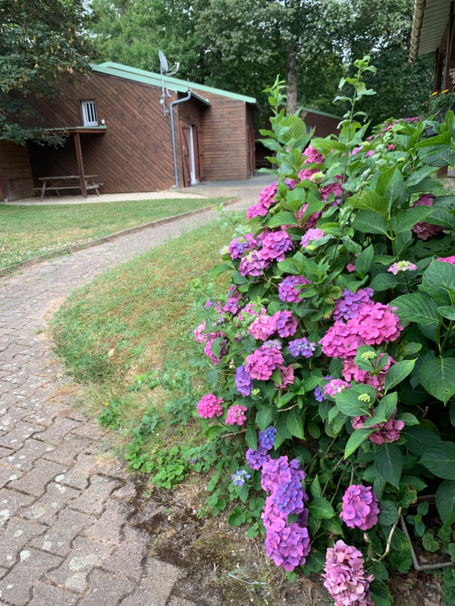 Chalets Mouliere Evasion Montamisé Exterior foto
